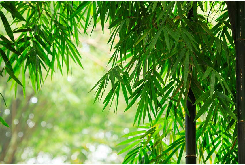 Best alternatives to wet wipes: the eco-friendly options you need to know about